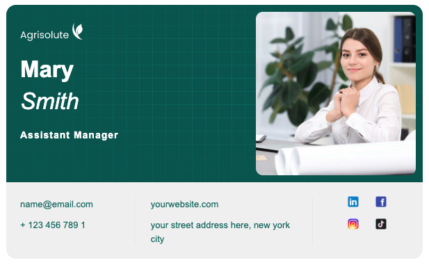 Email Signature Example 2
